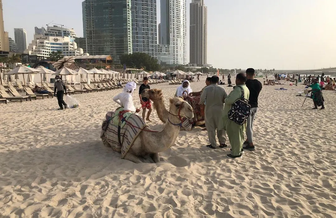 Spacious 5 Beds 3 Min From The Jbr Beach-1