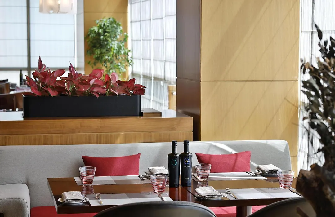 Radisson Blu Hotel, Dubai Barsha Heights-1